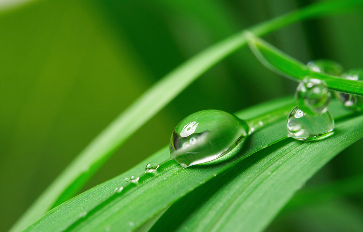 GreenEarth Reinigungsverfahren